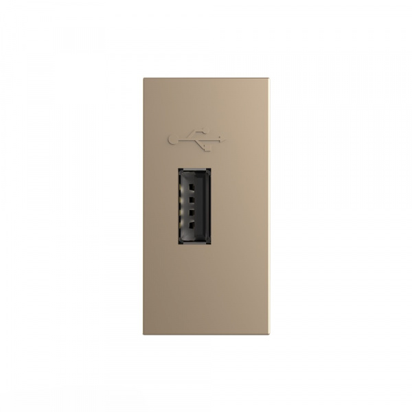 Розетка USB LIVOLO с блоком питания золотая BB-C7-1USB-13 (механизм)