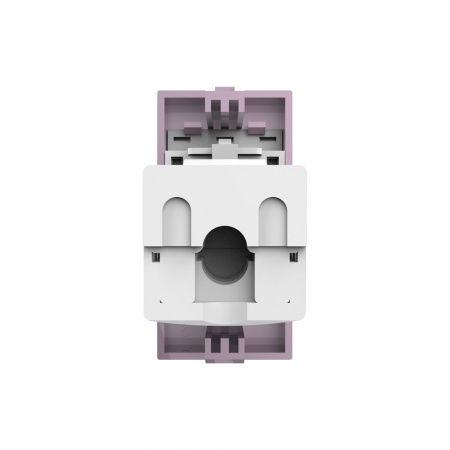Розетка интернет RJ-45 кат. 6 Livolo, цвет розовый (механизм)
