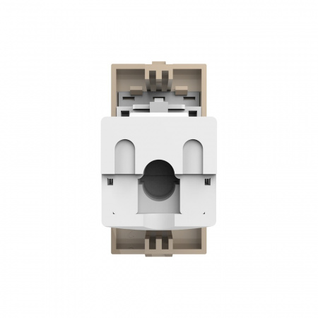 Розетка компьютерная LIVOLO RJ-45 золотая BB-C7-1C-13 (механизм)