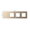 Панель для сенсорного выключателя и 3-х розеток Livolo, 1 клавиша, цвет золотой, стекло