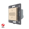 Регулятор вытяжки ZigBee Livolo, цвет золотой (механизм) VL-FC1GZ-2AP