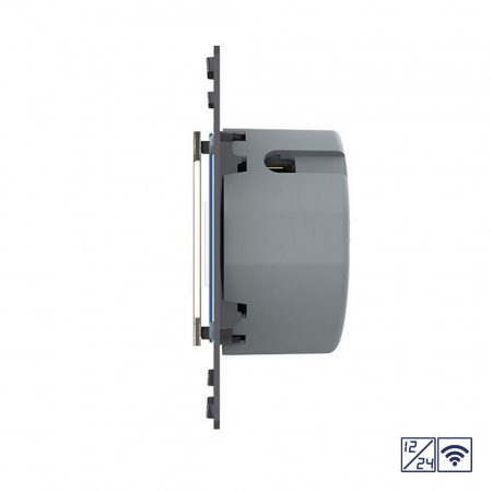 Одноклавишный сенсорный выключатель Livolo Quadro 12/24В с функцией радиоуправления, цвет золотой (механизм)