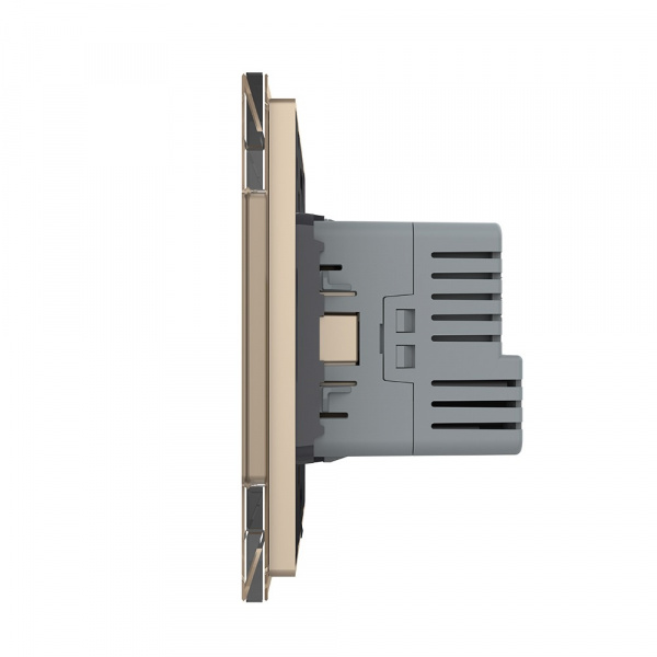 Розетка электрическая + USB type-C с блоком питания 18W Livolo 1 пост Золотая VL-C7CTF16A.UC18W-2AP